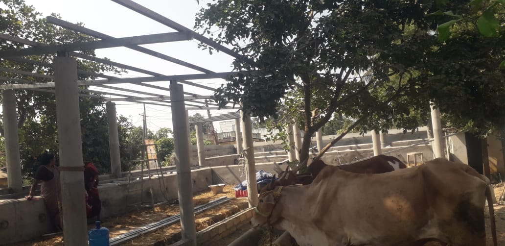 WhatsApp Image 2025-11-29 at 12.50.02 PM (1)