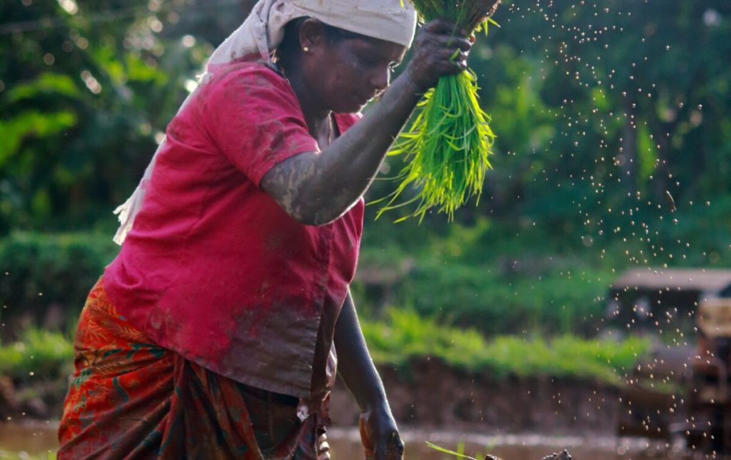 organic-farming-tile-1200x755